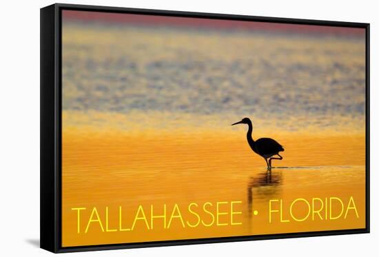 Tallahassee, Florida - Golden Heron-Lantern Press-Framed Stretched Canvas