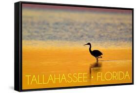 Tallahassee, Florida - Golden Heron-Lantern Press-Framed Stretched Canvas