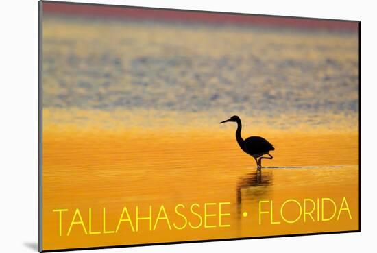 Tallahassee, Florida - Golden Heron-Lantern Press-Mounted Art Print