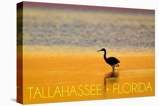 Tallahassee, Florida - Golden Heron-Lantern Press-Stretched Canvas