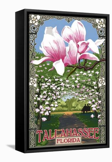 Tallahassee, Florida - Magnolia Trees-Lantern Press-Framed Stretched Canvas