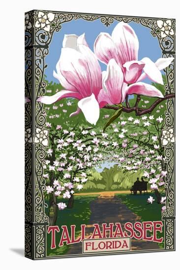 Tallahassee, Florida - Magnolia Trees-Lantern Press-Stretched Canvas