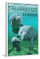 Tallahassee, Florida - Manatees-Lantern Press-Framed Art Print