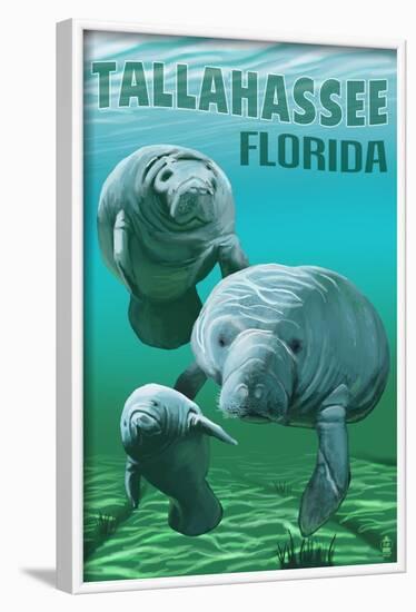 Tallahassee, Florida - Manatees-Lantern Press-Framed Art Print