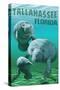 Tallahassee, Florida - Manatees-Lantern Press-Stretched Canvas