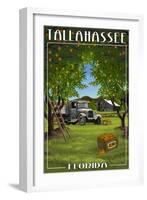 Tallahassee, Florida - Orange Grove and Truck-Lantern Press-Framed Art Print