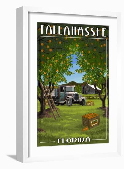 Tallahassee, Florida - Orange Grove and Truck-Lantern Press-Framed Art Print