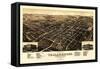 Tallahassee, Florida - Panoramic Map-Lantern Press-Framed Stretched Canvas