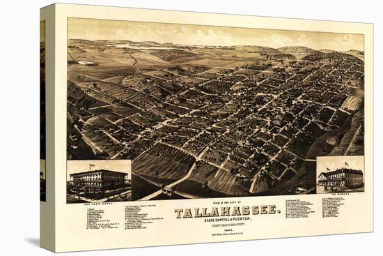 Tallahassee, Florida - Panoramic Map-Lantern Press-Stretched Canvas