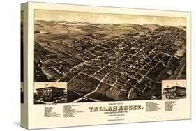 Tallahassee, Florida - Panoramic Map-Lantern Press-Stretched Canvas