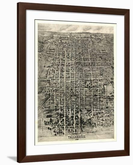 Tallahassee, Florida - Panoramic Map-Lantern Press-Framed Art Print