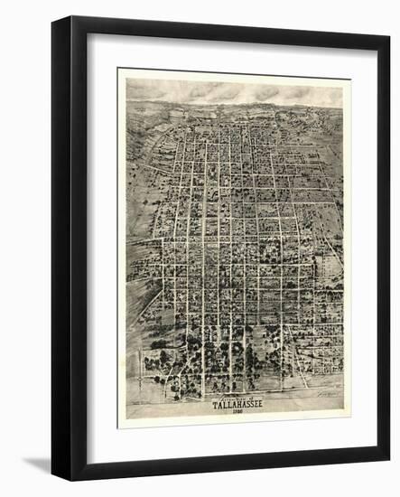 Tallahassee, Florida - Panoramic Map-Lantern Press-Framed Art Print