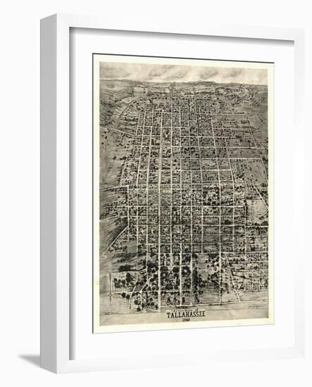 Tallahassee, Florida - Panoramic Map-Lantern Press-Framed Art Print