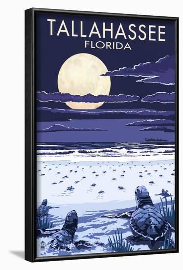 Tallahassee, Florida - Sea Turtles Hatching-Lantern Press-Framed Art Print