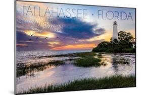 Tallahassee, Florida - St. Marks Lighthouse-Lantern Press-Mounted Art Print