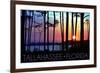 Tallahassee, Florida - Sunset and Silhouette-Lantern Press-Framed Premium Giclee Print