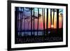 Tallahassee, Florida - Sunset and Silhouette-Lantern Press-Framed Premium Giclee Print