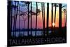 Tallahassee, Florida - Sunset and Silhouette-Lantern Press-Mounted Premium Giclee Print