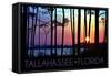 Tallahassee, Florida - Sunset and Silhouette-Lantern Press-Framed Stretched Canvas