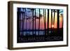 Tallahassee, Florida - Sunset and Silhouette-Lantern Press-Framed Art Print