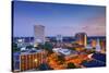 Tallahassee, Florida, USA Downtown Skyline.-SeanPavonePhoto-Stretched Canvas