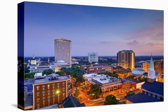 Tallahassee, Florida, USA Downtown Skyline.-SeanPavonePhoto-Stretched Canvas