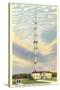 Tallest Radio Tower, Nashville, Tennessee-null-Stretched Canvas