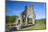 Talley Abbey, Near Llandeilo, Carmarthenshire, Wales, United Kingdom, Europe-Billy Stock-Mounted Photographic Print