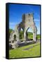 Talley Abbey, near Llandeilo, Carmarthenshire, Wales, United Kingdom, Europe-Billy Stock-Framed Stretched Canvas