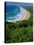 Tallow Beach from Cape Byron, Australia-Robert Francis-Stretched Canvas