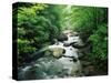 Tallulah River-James Randklev-Stretched Canvas