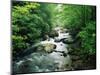 Tallulah River-James Randklev-Mounted Photographic Print