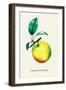 Talman Sweeting-null-Framed Art Print