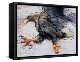 Talons - White Tailed Sea Eagle, 2001-Mark Adlington-Framed Stretched Canvas