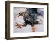 Talons - White Tailed Sea Eagle, 2001-Mark Adlington-Framed Giclee Print
