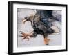 Talons - White Tailed Sea Eagle, 2001-Mark Adlington-Framed Giclee Print