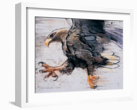 Talons - White Tailed Sea Eagle, 2001-Mark Adlington-Framed Giclee Print