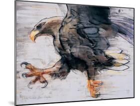 Talons - White Tailed Sea Eagle, 2001-Mark Adlington-Mounted Giclee Print