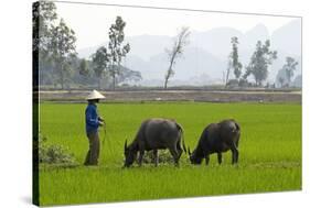 Tam Coc, Ninh Binh Area, Vietnam, Indochina, Southeast Asia, Asia-Bruno Morandi-Stretched Canvas