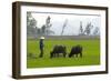 Tam Coc, Ninh Binh Area, Vietnam, Indochina, Southeast Asia, Asia-Bruno Morandi-Framed Photographic Print