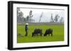 Tam Coc, Ninh Binh Area, Vietnam, Indochina, Southeast Asia, Asia-Bruno Morandi-Framed Photographic Print