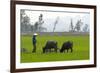 Tam Coc, Ninh Binh Area, Vietnam, Indochina, Southeast Asia, Asia-Bruno Morandi-Framed Photographic Print