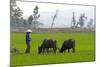 Tam Coc, Ninh Binh Area, Vietnam, Indochina, Southeast Asia, Asia-Bruno Morandi-Mounted Photographic Print