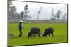 Tam Coc, Ninh Binh Area, Vietnam, Indochina, Southeast Asia, Asia-Bruno Morandi-Mounted Photographic Print