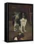 Tama, the Japanese Dog, c.1875-Edouard Manet-Framed Stretched Canvas