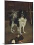 Tama, the Japanese Dog, c.1875-Edouard Manet-Mounted Giclee Print