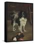 Tama, the Japanese Dog, c.1875-Edouard Manet-Framed Stretched Canvas