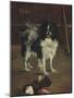 Tama, the Japanese Dog, c.1875-Edouard Manet-Mounted Giclee Print