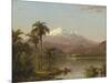 Tamaca Palms, 1854-Frederic Edwin Church-Mounted Giclee Print