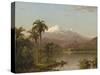 Tamaca Palms, 1854-Frederic Edwin Church-Stretched Canvas